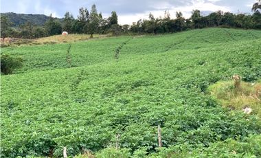 Venta lote en La Unión: 30.000 m² con vista y topografía plana.