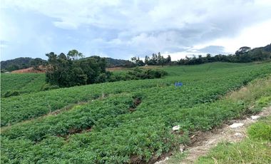 Venta lote en La Unión: 30.000 m² con vista y topografía plana.