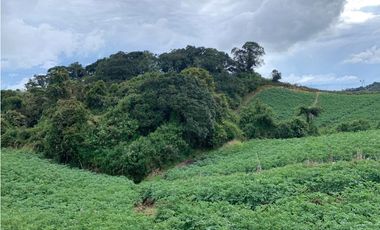 Venta lote en La Unión: 30.000 m² con vista y topografía plana.