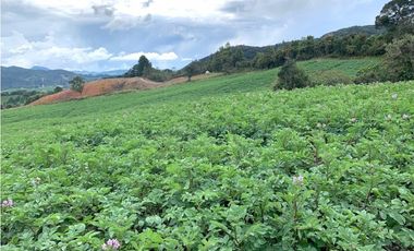 Venta lote en La Unión: 30.000 m² con vista y topografía plana.