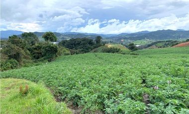 Venta lote en La Unión: 30.000 m² con vista y topografía plana.