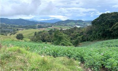 Venta lote en La Unión: 30.000 m² con vista y topografía plana.