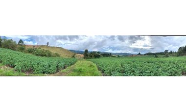 Venta lote en La Unión: 30.000 m² con vista y topografía plana.