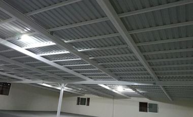 Bodega en Renta en Peñon de Los Baños.