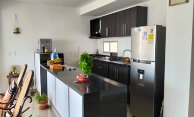 Palmas De Iraka 2 - En Venta