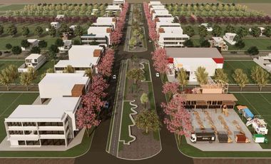 2 Lotes en Vistalba Ricardone