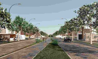 2 Lotes en Vistalba Ricardone