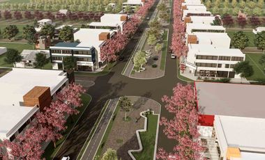 2 Lotes en Vistalba Ricardone