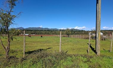 Parcela de Media hectárea en sector San Víctor Alamos