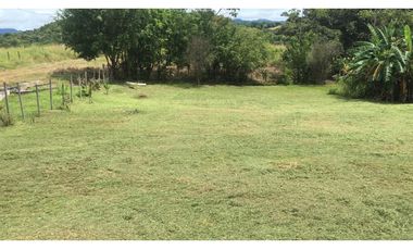 SAN CARLOS / CERRO GORDO /  2100M / VISTA A LA MONTAÑA  AG
