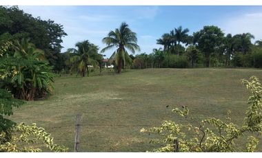 SAN CARLOS / CERRO GORDO /  2100M / VISTA A LA MONTAÑA  AG