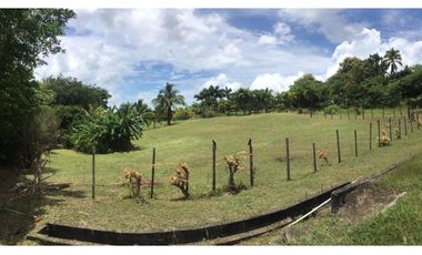 SAN CARLOS / CERRO GORDO /  2100M / VISTA A LA MONTAÑA  AG