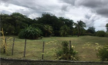 SAN CARLOS / CERRO GORDO /  2100M / VISTA A LA MONTAÑA  AG