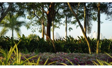 Venta de Apartamentos en Costa del Este – Proyecto Kai