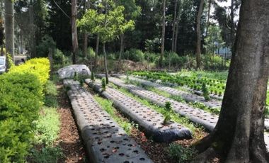 Jual Kebut Kavling Siap Bangun View Keren di Lembang