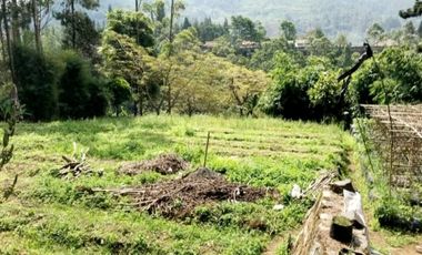 Jual Kebut Kavling Siap Bangun View Keren di Lembang