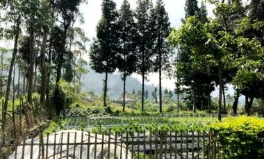 Jual Kebut Kavling Siap Bangun View Keren di Lembang