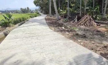 JUAL TANAH DI KEBONREJO TEMON KULONPROGO VIEW SAWAH