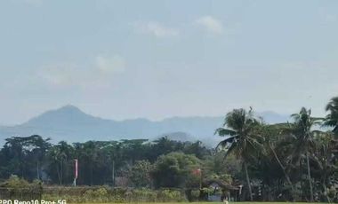 JUAL TANAH DI KEBONREJO TEMON KULONPROGO VIEW SAWAH