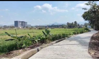 JUAL TANAH DI KEBONREJO TEMON KULONPROGO VIEW SAWAH
