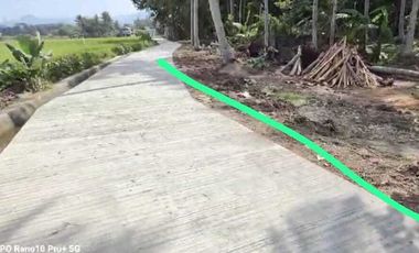 JUAL TANAH DI KEBONREJO TEMON KULONPROGO VIEW SAWAH