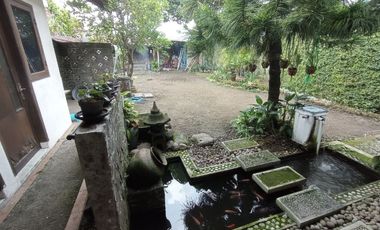 Rumah mewah 2 lantai di baron Laweyan solo