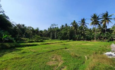 Nanggulan; Tanah Murah Siap Bangun Kawasan Asri; SHM