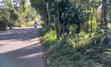 Jual cepat tanah SHM Sawah di Pakem Sleman dekat Fasum