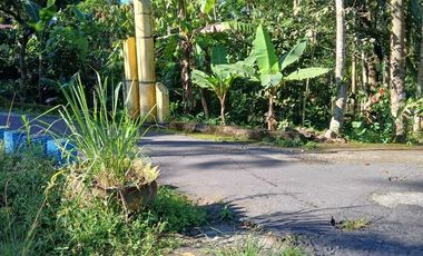 Jual cepat tanah SHM Sawah di Pakem Sleman dekat Fasum