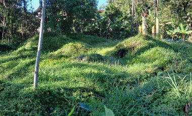 Jual cepat tanah SHM Sawah di Pakem Sleman dekat Fasum