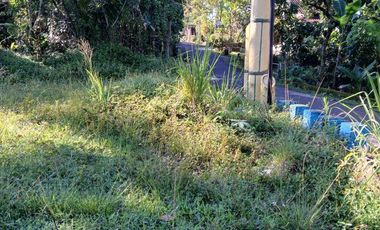 Jual cepat tanah SHM Sawah di Pakem Sleman dekat Fasum