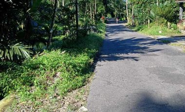 Jual cepat tanah SHM Sawah di Pakem Sleman dekat Fasum