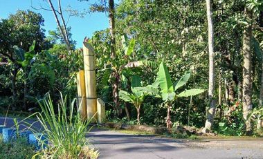 Jual cepat tanah SHM Sawah di Pakem Sleman dekat Fasum