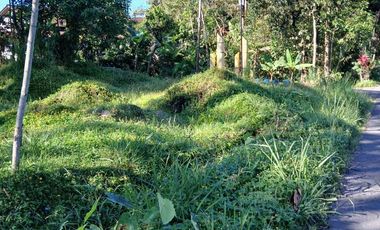 Jual cepat tanah SHM Sawah di Pakem Sleman dekat Fasum