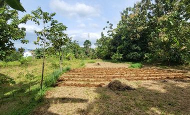 Tanah Dijual Harga Dibawah NJOP Di Rancamaya Kota Bogor