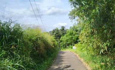 Tanah Dijual Harga Dibawah NJOP Di Rancamaya Kota Bogor