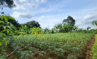 Tanah Dijual Harga Dibawah NJOP Di Rancamaya Kota Bogor