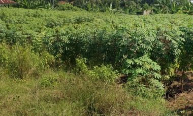 Dijual Harga Promo Tanah Industri  dan SHGB Di Batang Jawa Tengah