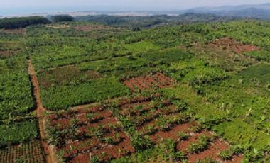 Dijual Harga Promo Tanah Industri  dan SHGB Di Batang Jawa Tengah