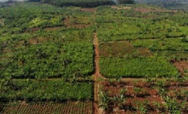 Dijual Harga Promo Tanah Industri  dan SHGB Di Batang Jawa Tengah
