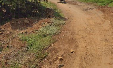 Dijual Harga Promo Tanah Industri  dan SHGB Di Batang Jawa Tengah