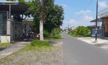 Soft Launching Cluster Ringinsari Maguwoharjo