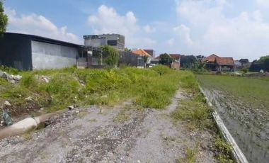 Soft Launching Cluster Ringinsari Maguwoharjo