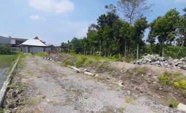 Soft Launching Cluster Ringinsari Maguwoharjo