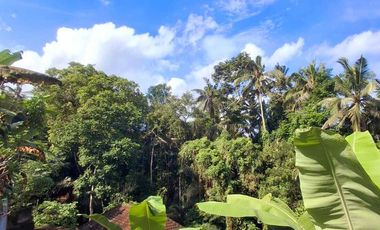 Villa Murah Los Sungai View Lembah Dekat Central Ubud di Jalan Suweta