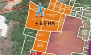 Jual Tanah Industri Di Jalan Pantura Gringsing Batang Jawa Tengah