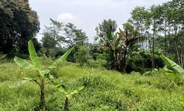 Jual Tanah Industri Di Jalan Pantura Gringsing Batang Jawa Tengah