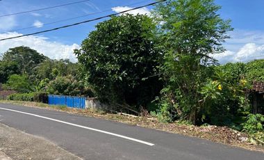 Di jual tanah berisi bangunan dekat dengan pantai