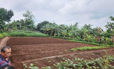 LAND FOR SALE, AREA 1492 M2, LOCATION NEAR TAMAN NAROGONG COMPLEX, EAST BEKASI