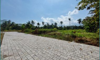 Dekat Pasar Jombokan, Rumah Murah 300 Jt-an di Wates Kulonprogo, Jogja